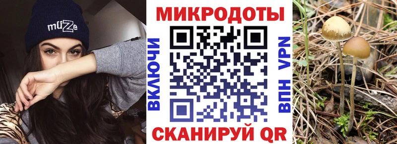 мориарти официальный сайт  где купить наркоту  Клин  Псилоцибиновые грибы мухоморы 